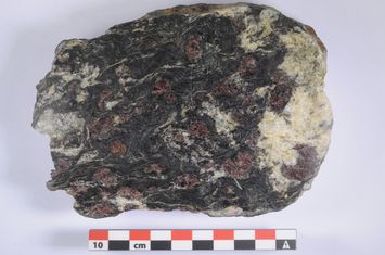 Vorschaubild Granat-Biotitgneis